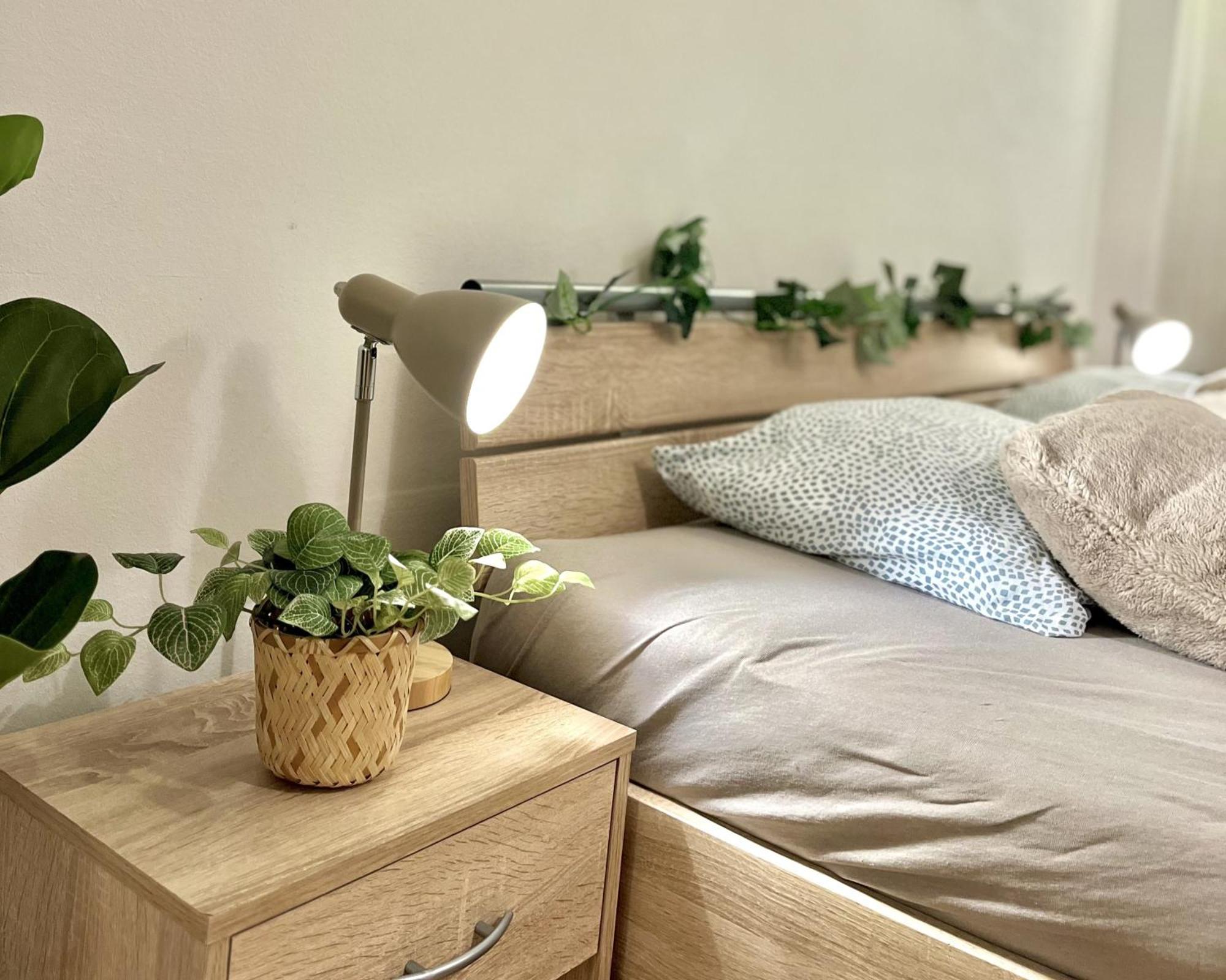 Apartment Simona - Old Town Bratislava Dış mekan fotoğraf